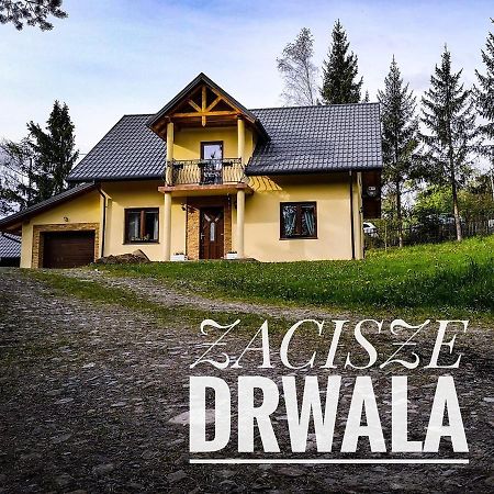Hostal Zacisze Drwala Lutowiska Exterior foto