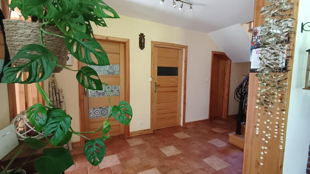 Hostal Zacisze Drwala Lutowiska Exterior foto