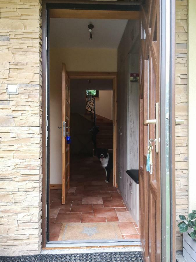 Hostal Zacisze Drwala Lutowiska Exterior foto