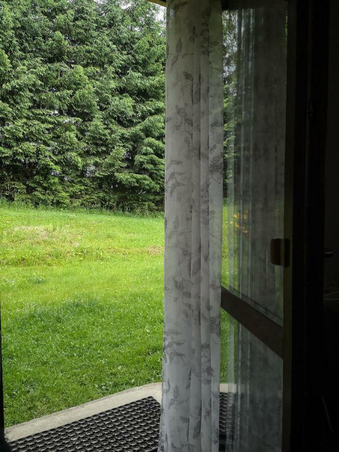 Hostal Zacisze Drwala Lutowiska Exterior foto